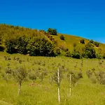 Bolognaroomscom - La Quercia 4*