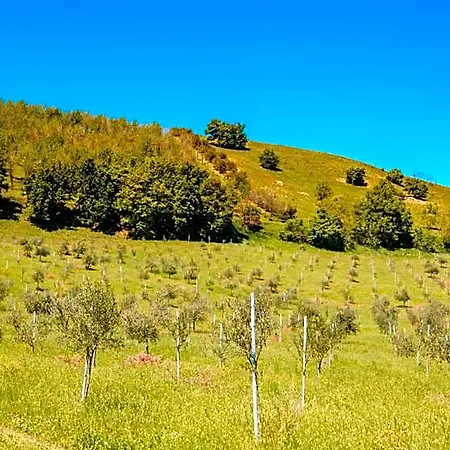 Borgo Malvasia- La Quercia 4* サッソ・マルコーニ