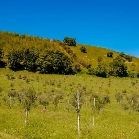 Bolognaroomscom - La Quercia 3*