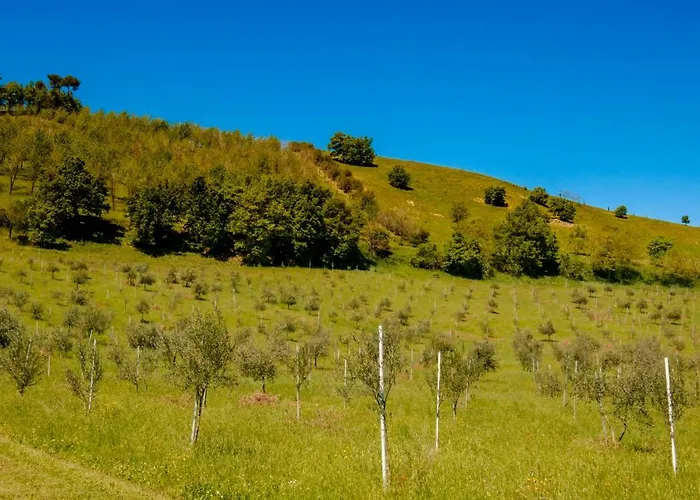 Bolognaroomscom - La Quercia 3*